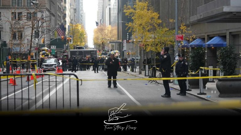 US healthcare system fury revealed by insurance CEO murder