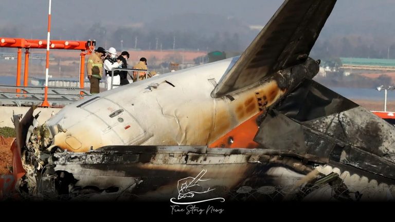 Bird feathers discovered in engines of crashed Jeju Aeroplane