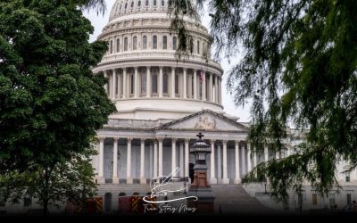 What happens the US government shutdown?