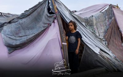 Tents take a year to arrive in Gaza; UK criticises assistance delays
