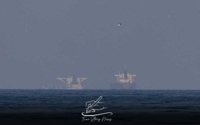 US hits Iran, Tehran closes Hormuz, Gulf states hit